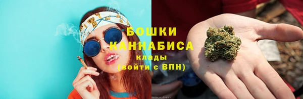 гидра Осинники
