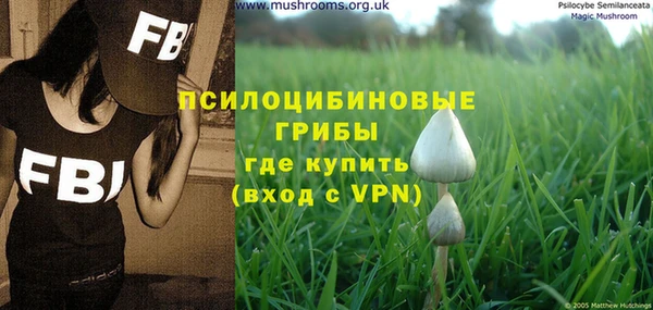 экстази Осташков